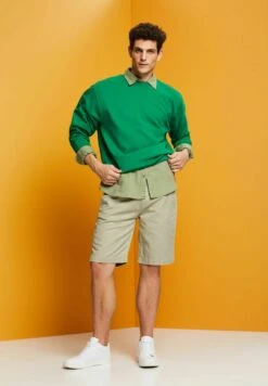 ESPRIT Im Stil - Shorts - Light Green -ESPRIT Winkel 229517e6a247408b9bd3acee0a1a7e20